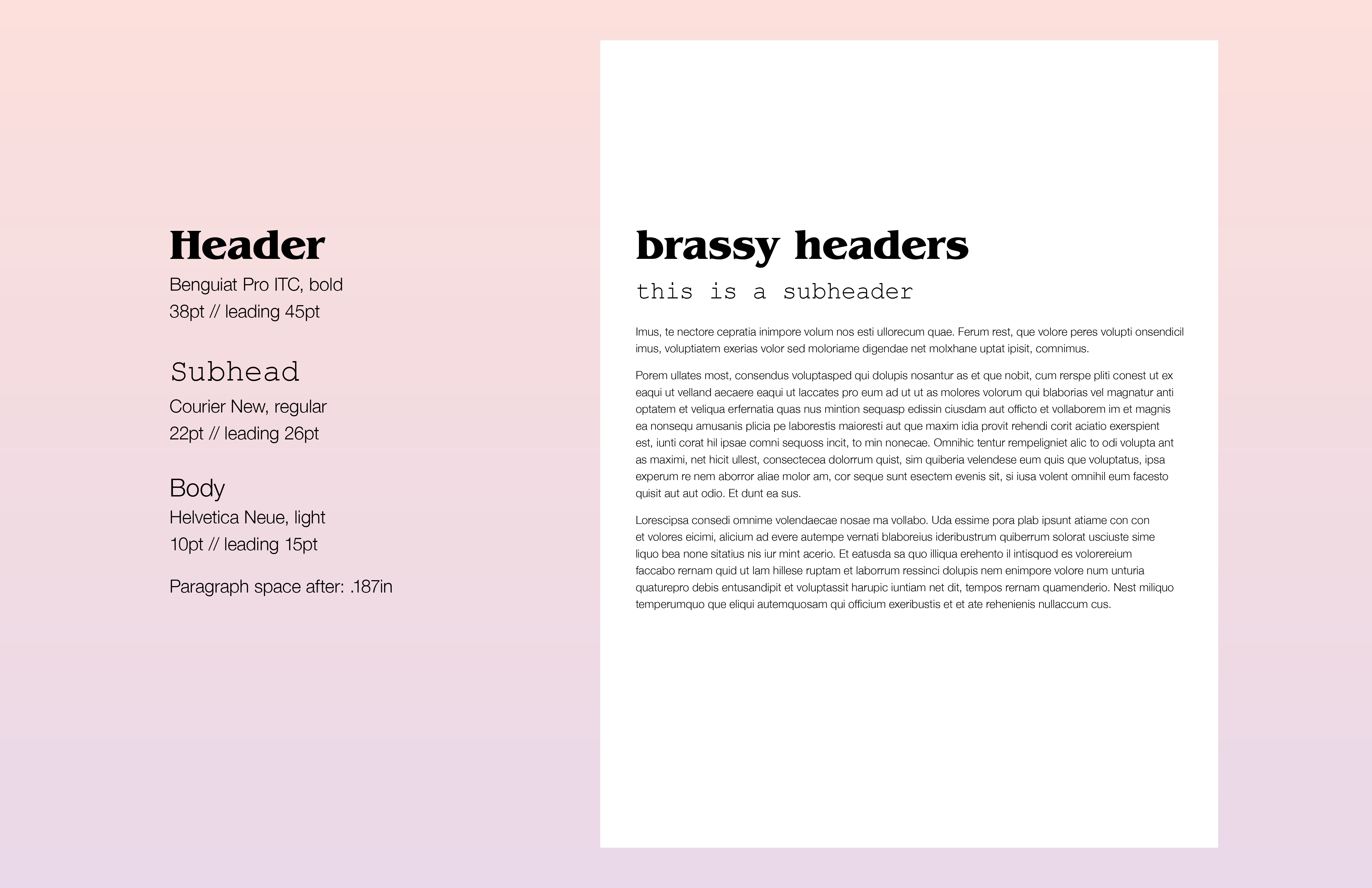 brassy graphic identity-typography